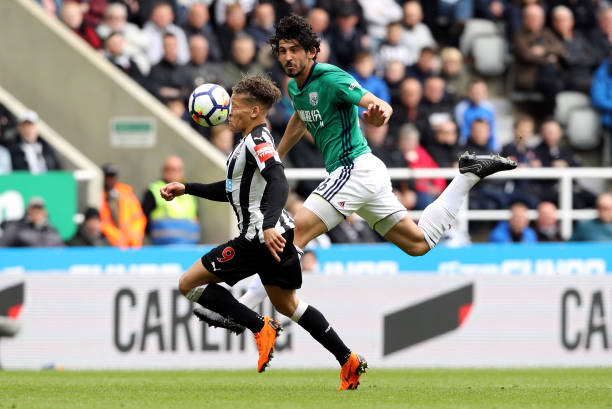 通过分析欧 通过分析欧