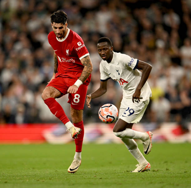 因为它并不 因为它并不