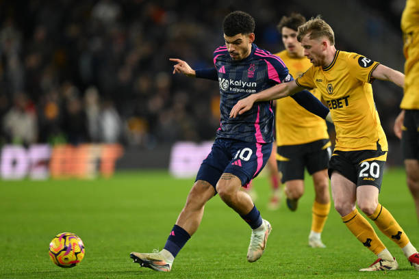 的比赛中 的比赛中